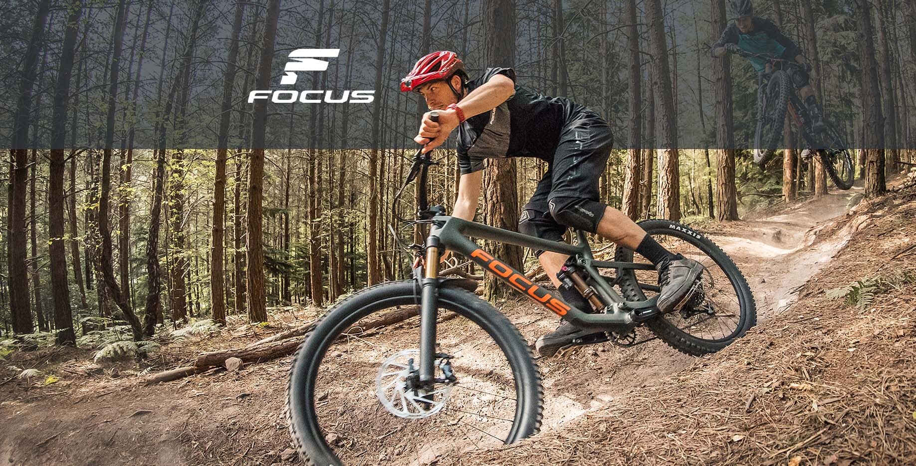 Markeneinstieg_Focus_Logo